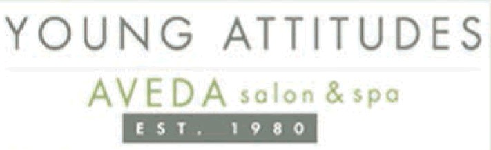 Young Attitudes Aveda Salon & Spa Shols Of La Jolla